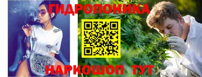 spice Пенза