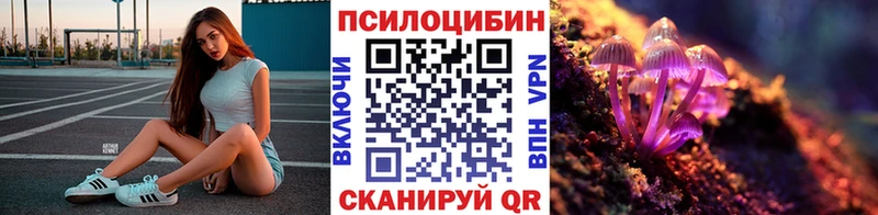 shop формула  Партизанск  Псилоцибиновые грибы GOLDEN TEACHER  мега как войти 