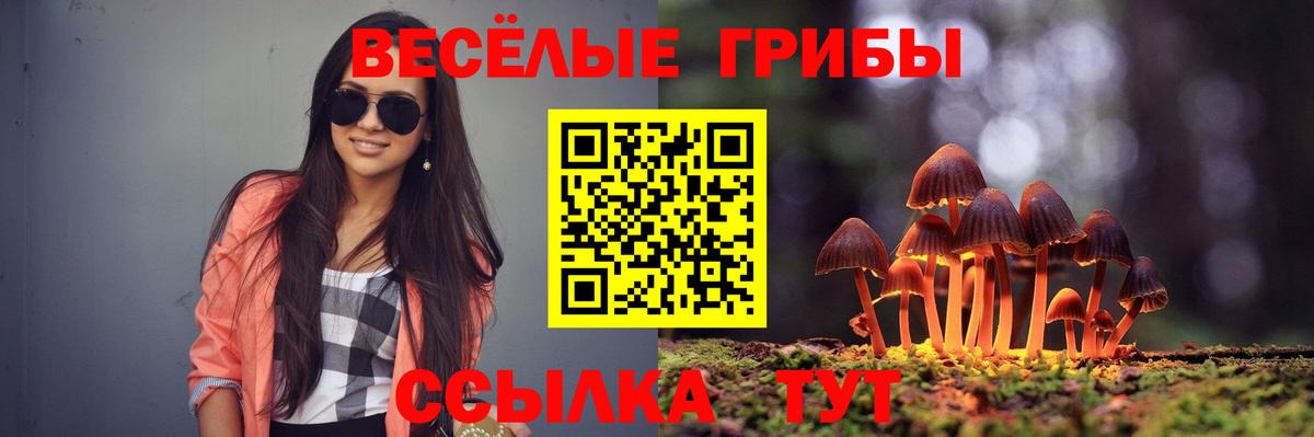 Галлюциногенные грибы GOLDEN TEACHER  Вход с VPN  Партизанск 